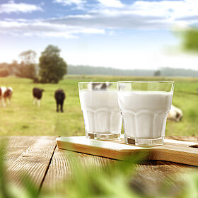 Milchglas und Kühe im Hintergrund